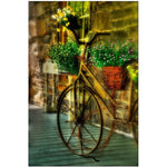 Trademark Fine Art Still Useful by Lois Bryan-Canvas Ready to Hang 16x24 Inches