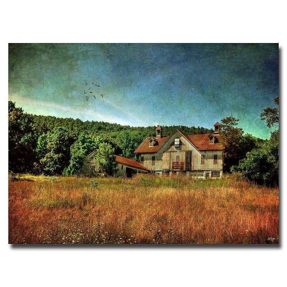 Trademark Fine Art Lois Bryan 'Old Barn in Golden Light' Canvas Art 22x32 Inches