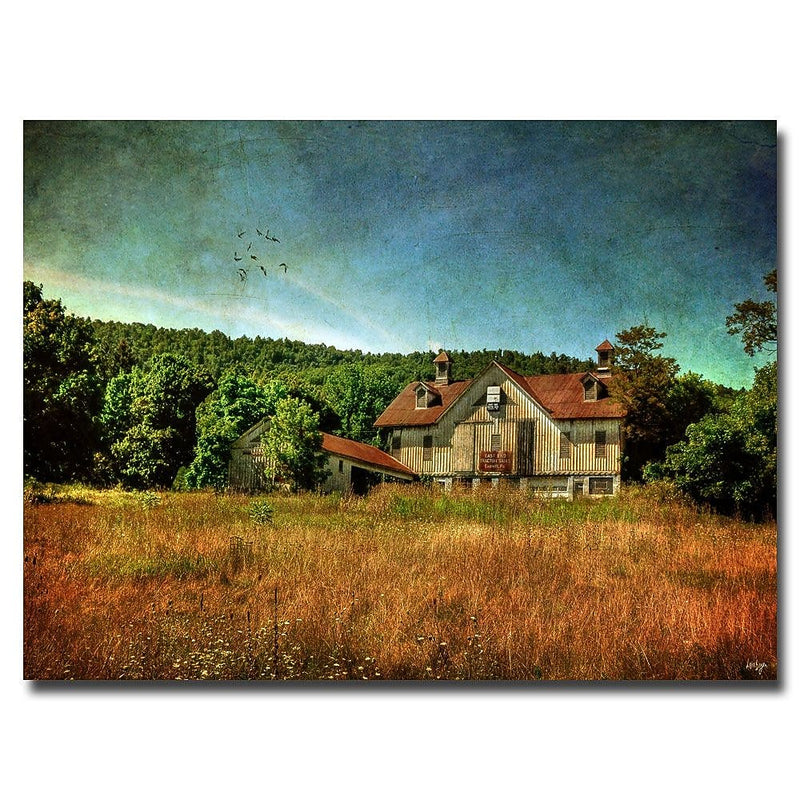 Trademark Fine Art Lois Bryan 'Old Barn in Golden Light' Canvas Art 22x32 Inches