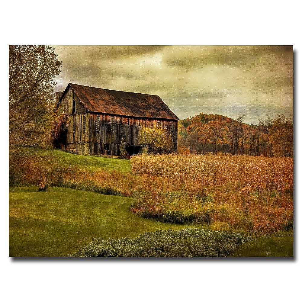 Trademark Fine Art Lois Bryan 'Old Barn on Rainy Day' Canvas Art 30x47 Inches