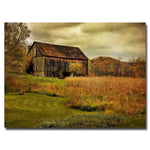 Trademark Fine Art Lois Bryan 'Old Barn on Rainy Day' Canvas Art 30x47 Inches