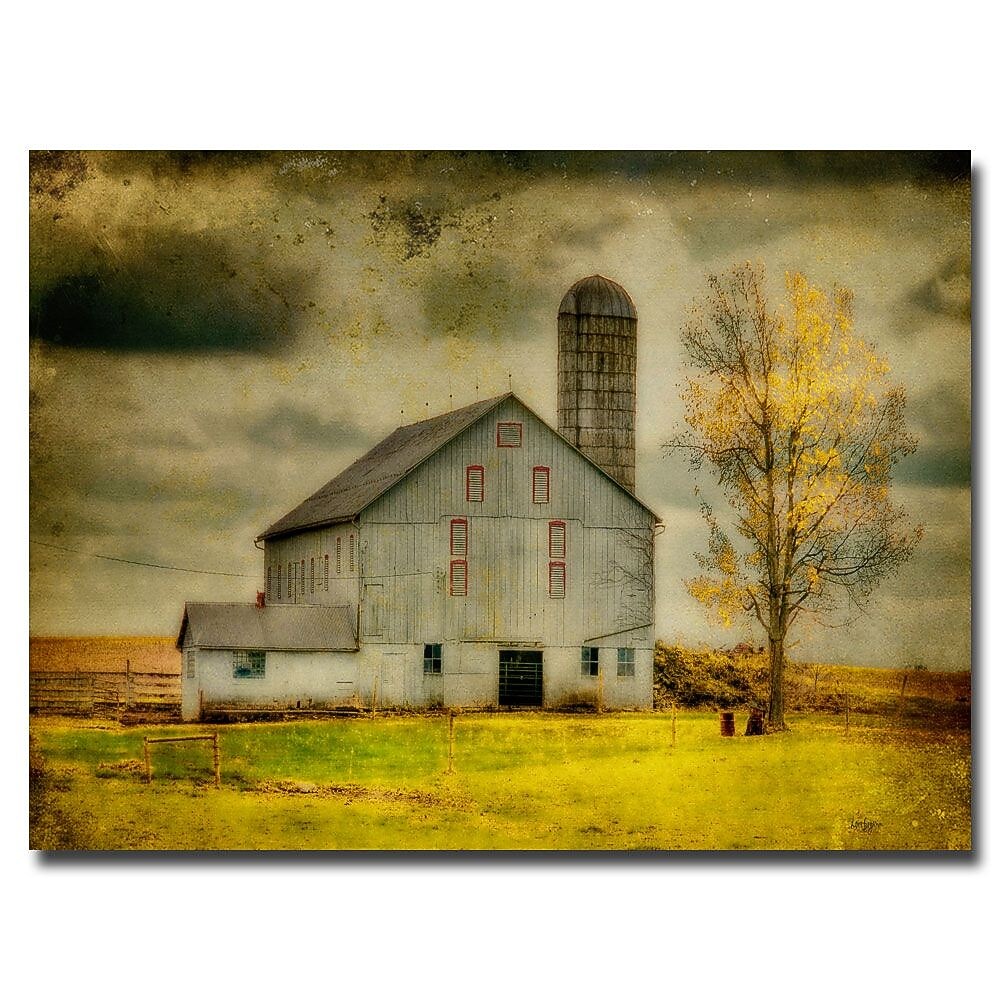 Trademark Fine Art Lois Bryan 'Ikd Barn on Stormy Afternoon' Canvas Art 22x32 Inches