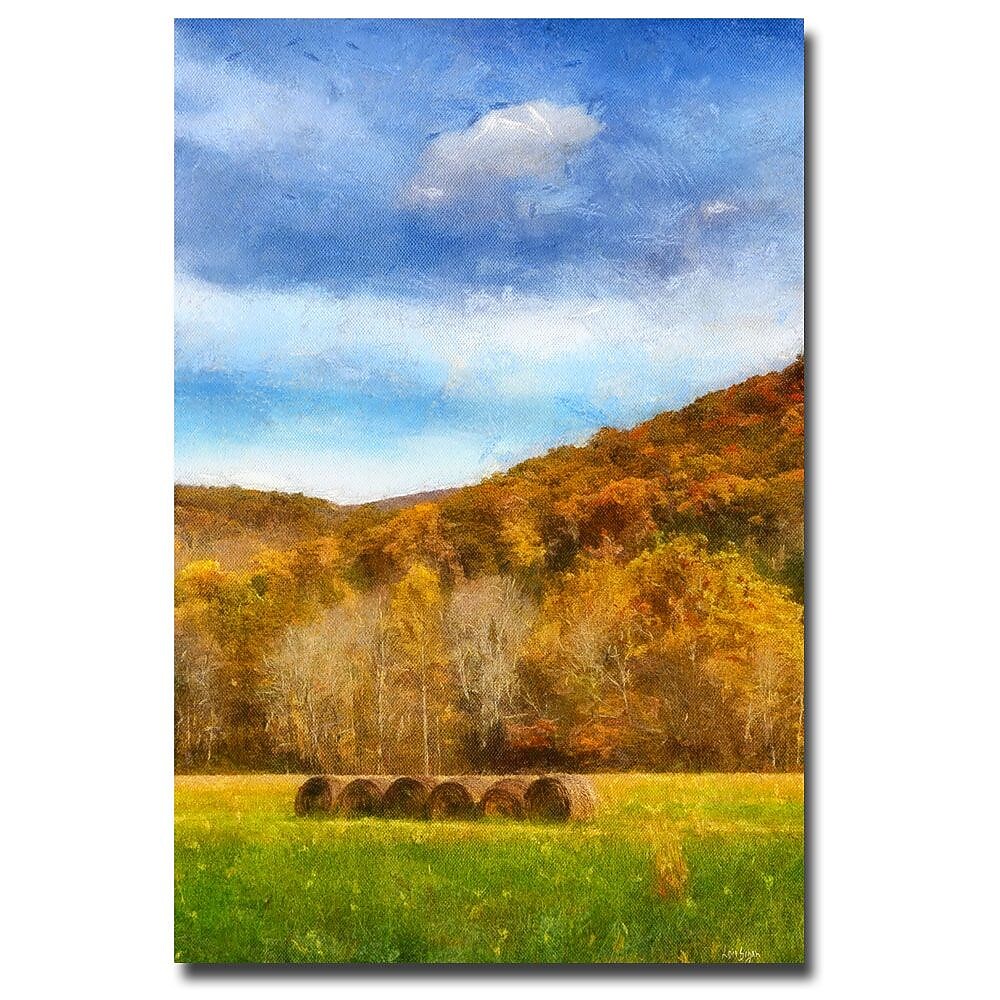 Trademark Fine Art Lois Bryan 'The Harvest' Canvas Art 30x47 Inches