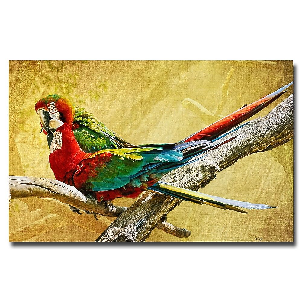 Trademark Fine Art Lois Bryan 'Kissing Macaws' Canvas Art 18x32 Inches
