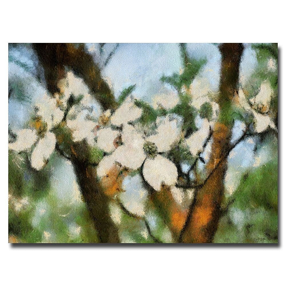 Trademark Fine Art Lois Bryan 'Dogwood Tree' Canvas Art 16x24 Inches