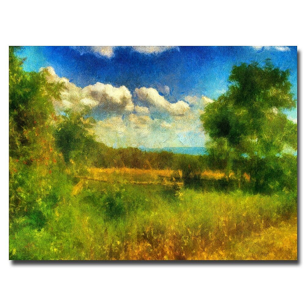 Trademark Fine Art Lois Bryan 'Split-Rail Fence' Canvas Art 16x24 Inches