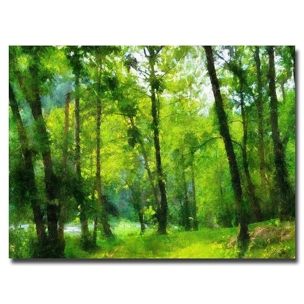 Trademark Fine Art Lois Bryan 'Forest Walk in Spring' Canvas Art 16x24 Inches