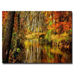 Trademark Fine Art Lois Bryan 'Bob's Creek' Canvas Art 16x24 Inches