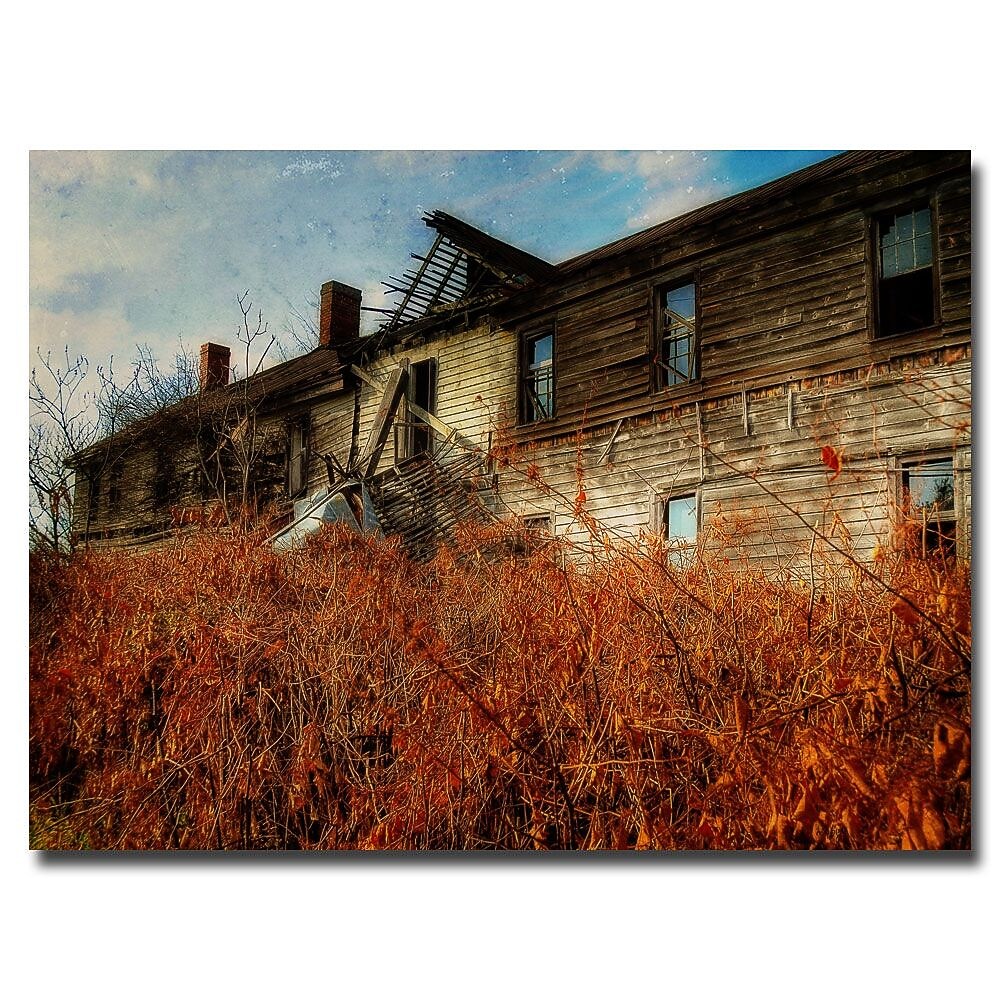 Trademark Fine Art Lois Bryan 'Forgotten Hotel' Canvas Art 22x32 Inches