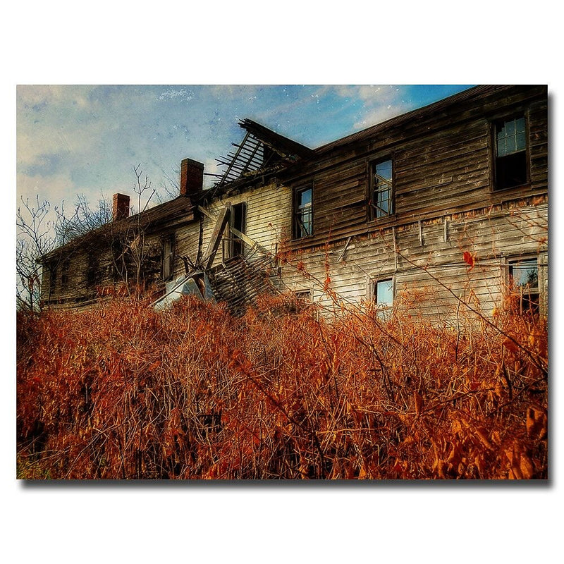 Trademark Fine Art Lois Bryan 'Forgotten Hotel' Canvas Art 22x32 Inches