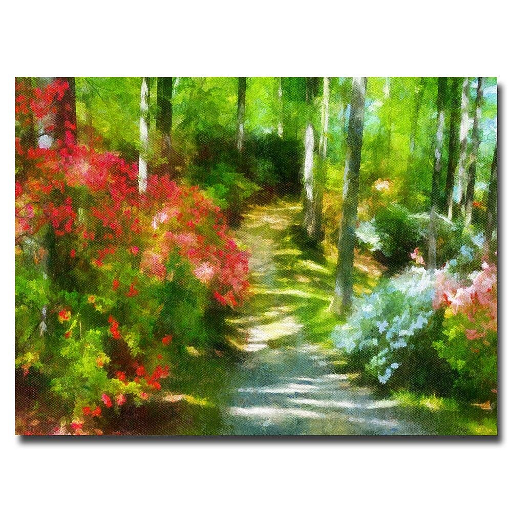 Trademark Fine Art Lois Bryan 'Azaleas in the Morning' Canvas Art 16x24 Inches