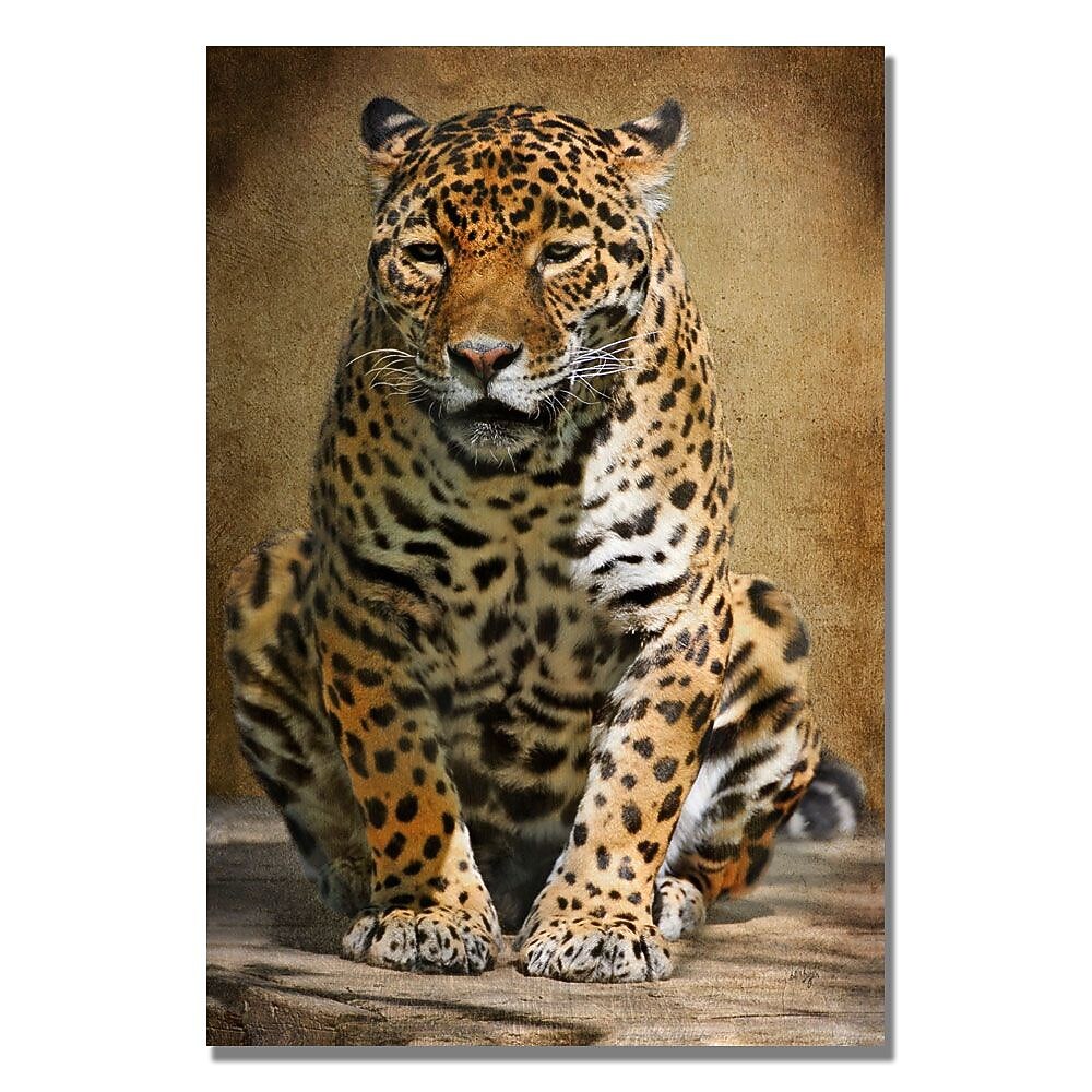 Trademark Fine Art Lois Bryan 'Cheetah' Canvas Art 16x24 Inches