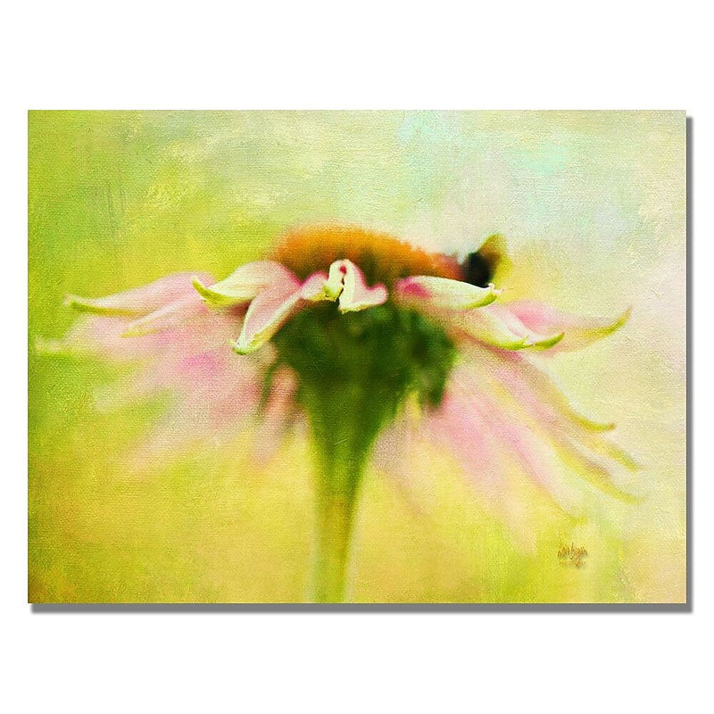 Trademark Fine Art Lois Bryan 'Daisy' Canvas Art 30x47 Inches