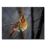 Trademark Fine Art Lois Bryan 'Snowy Cardinal' Canvas Art 18x24 Inches