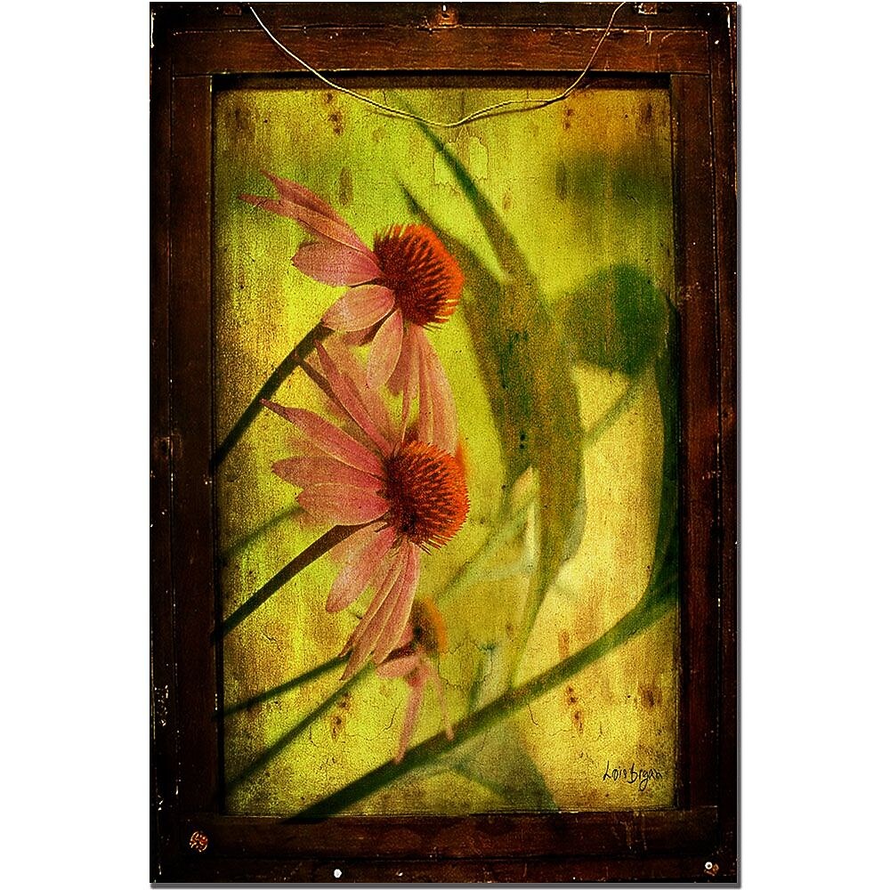 Trademark Fine Art Antiqued Cone Flowers by Lois Bryan Canvas Art 16x24 Inches