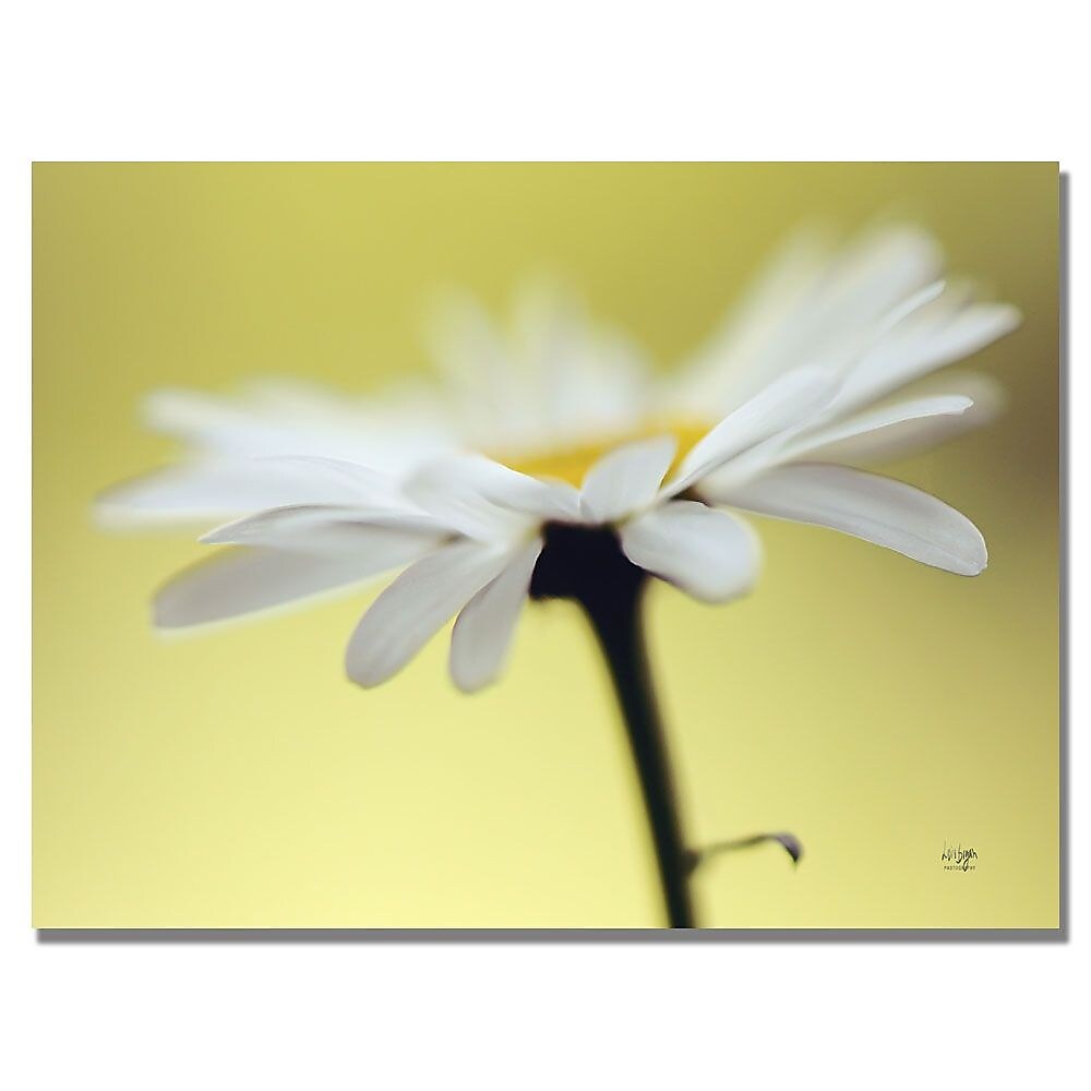 Trademark Fine Art Lois Bryan 'Daisy III' Canvas Art 22x32 Inches