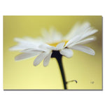 Trademark Fine Art Lois Bryan 'Daisy III' Canvas Art 30x47 Inches