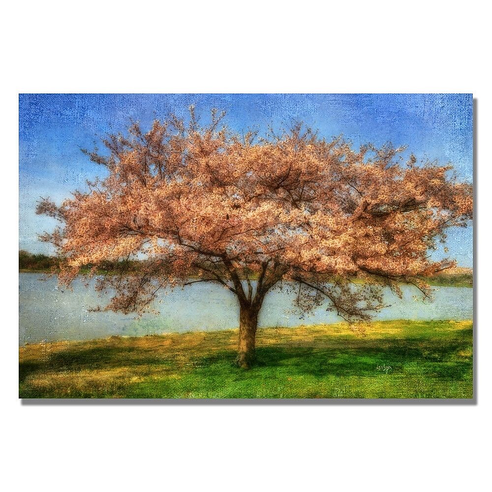 Trademark Fine Art Lois Bryan 'Cherry Tree' Canvas Art 16x24 Inches