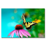 Trademark Fine Art Lois Bryan 'Butterfly on the Edge' Canvas Art 16x24 Inches