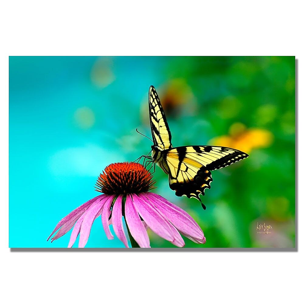 Trademark Fine Art Lois Bryan 'Butterfly on the Edge' Canvas Art 35x47 Inches