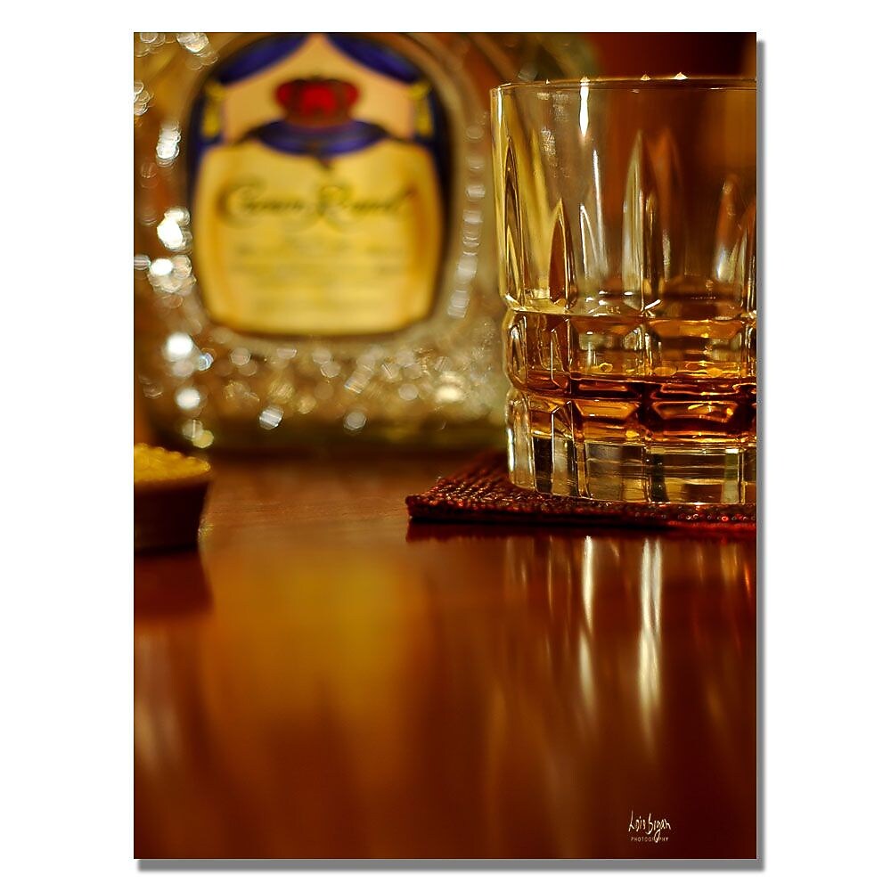 Trademark Fine Art Lois Bryan 'Whiskey for the Soul' Canvas Art 22x32 Inches