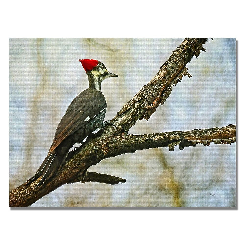 Trademark Fine Art Lois Bryan 'Woodpecker II' Canvas Art 22x32 Inches