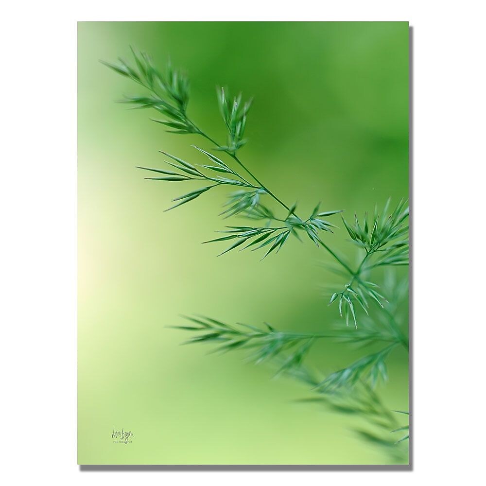 Trademark Fine Art Lois Bryan 'Keep Green' Canvas Art 30x47 Inches