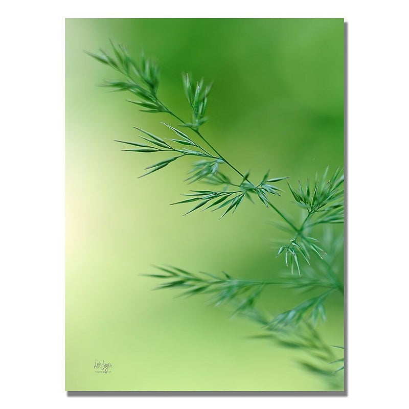 Trademark Fine Art Lois Bryan 'Keep Green' Canvas Art 18x24 Inches