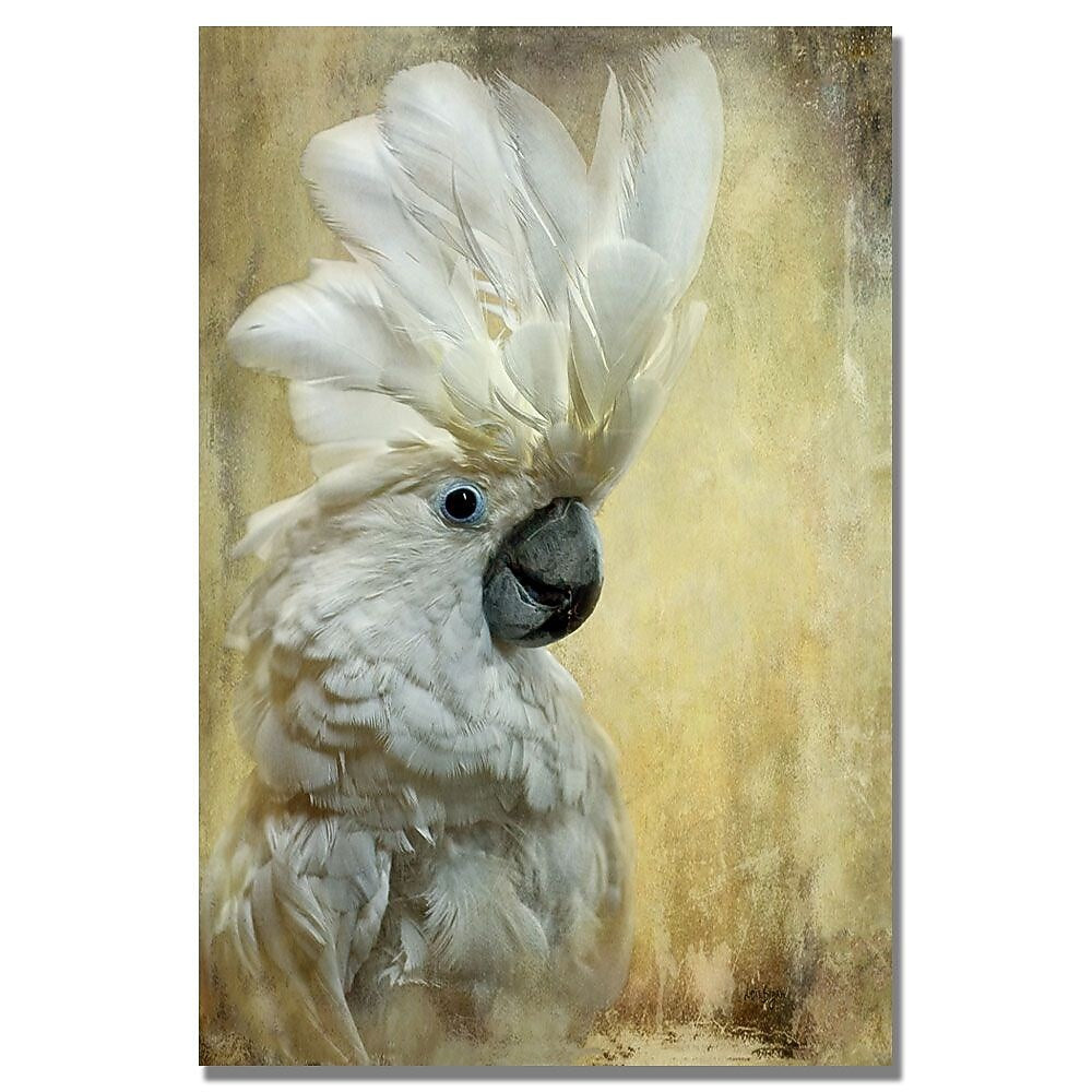 Trademark Fine Art Lois Bryan 'Cocktoo' Canvas Art 30x47 Inches