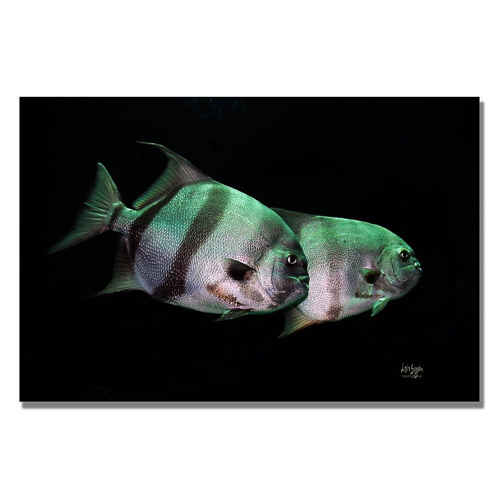 Trademark Fine Art Lois Bryan 'Fish in the Dark' Canvas Art 35x47 Inches
