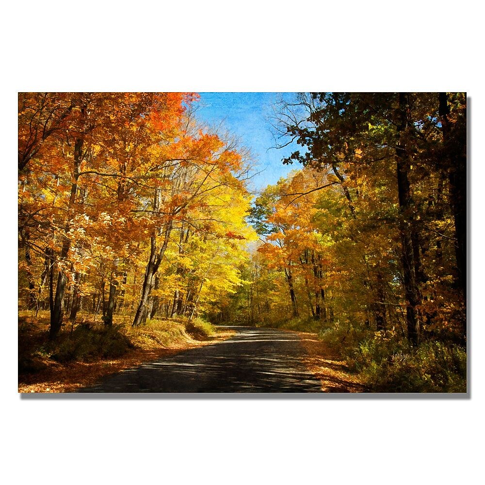 Trademark Fine Art Lois Bryan 'Fall Walkway' Canvas Art 35x47 Inches