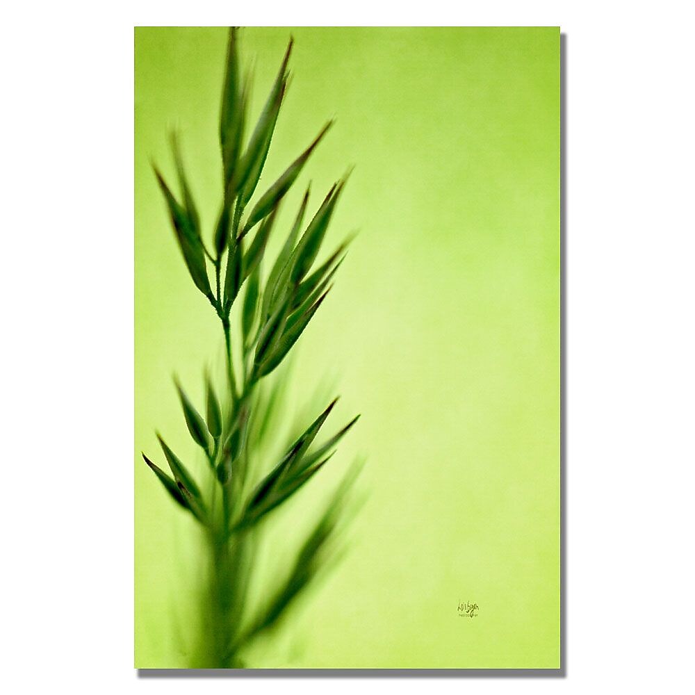 Trademark Fine Art Lois Bryan 'Keep Green II' Canvas Art 16x24 Inches