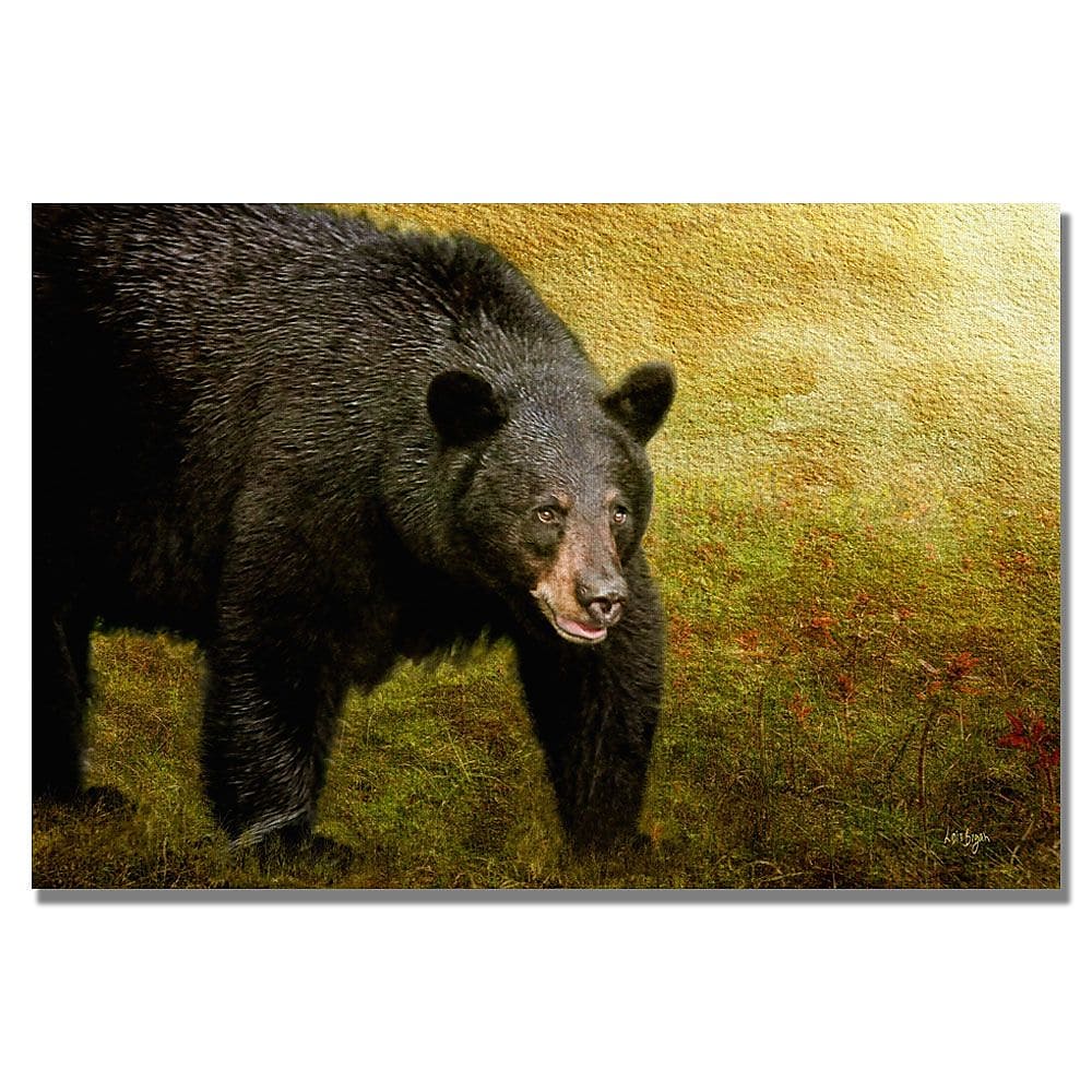 Trademark Fine Art Lois Bryan 'Big Black Bear' Canvas Art 22x32 Inches