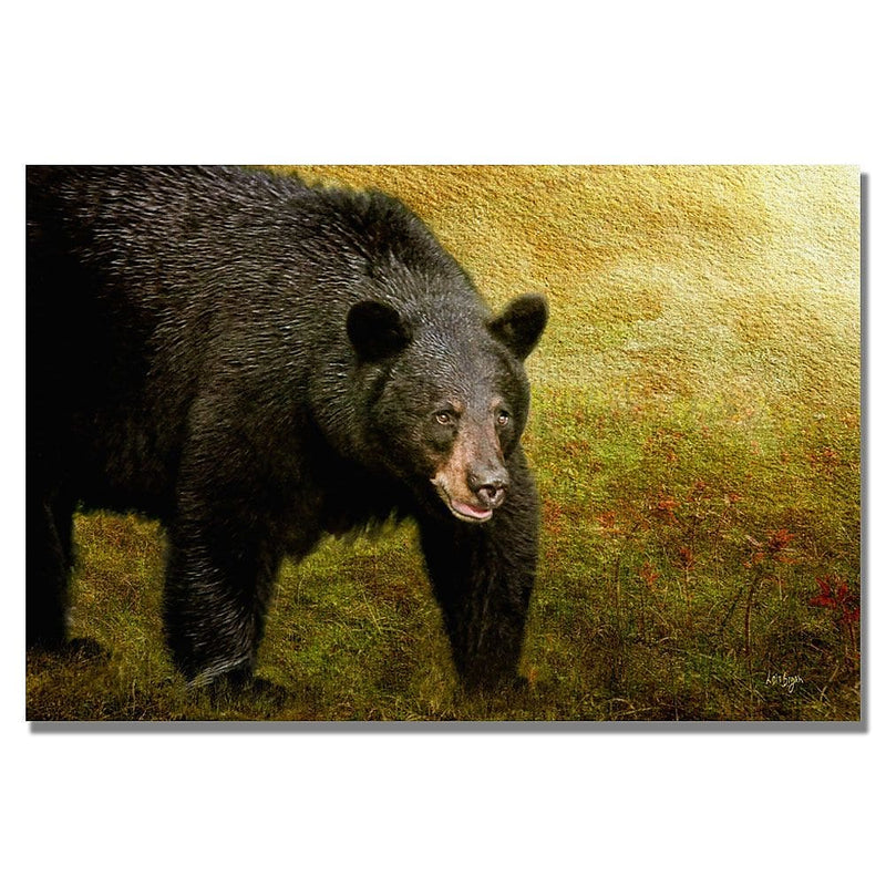 Trademark Fine Art Lois Bryan 'Big Black Bear' Canvas Art 16x24 Inches