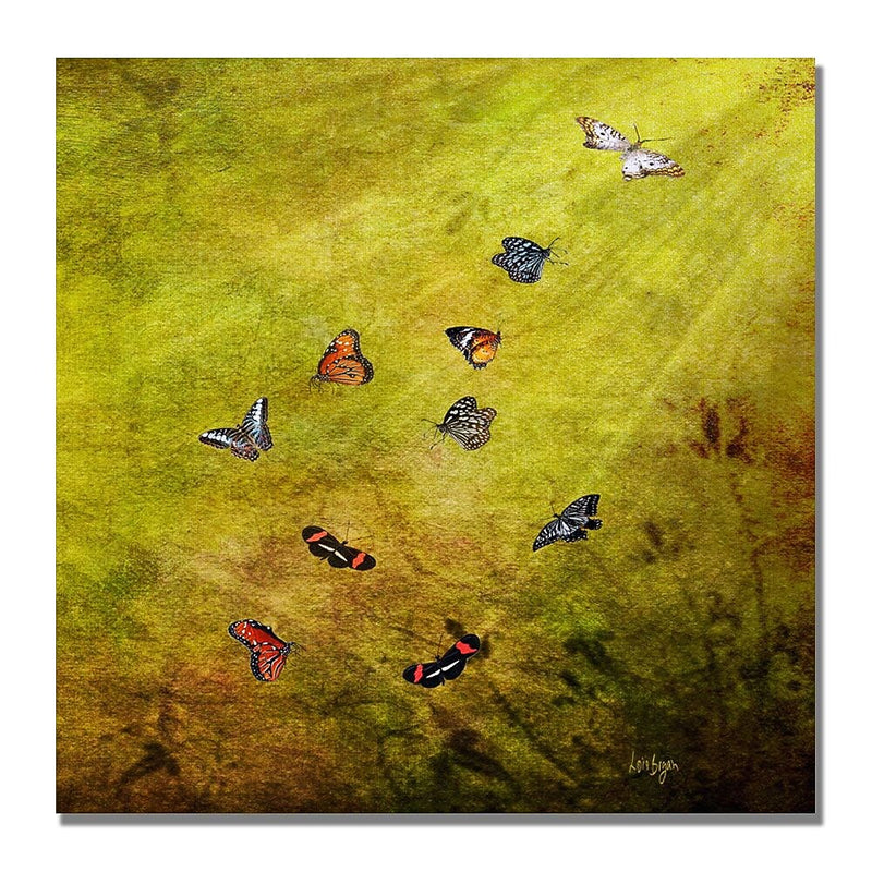 Trademark Fine Art Lois Bryan 'Butterfly in the Sky' Canvas Art 14x14 Inches