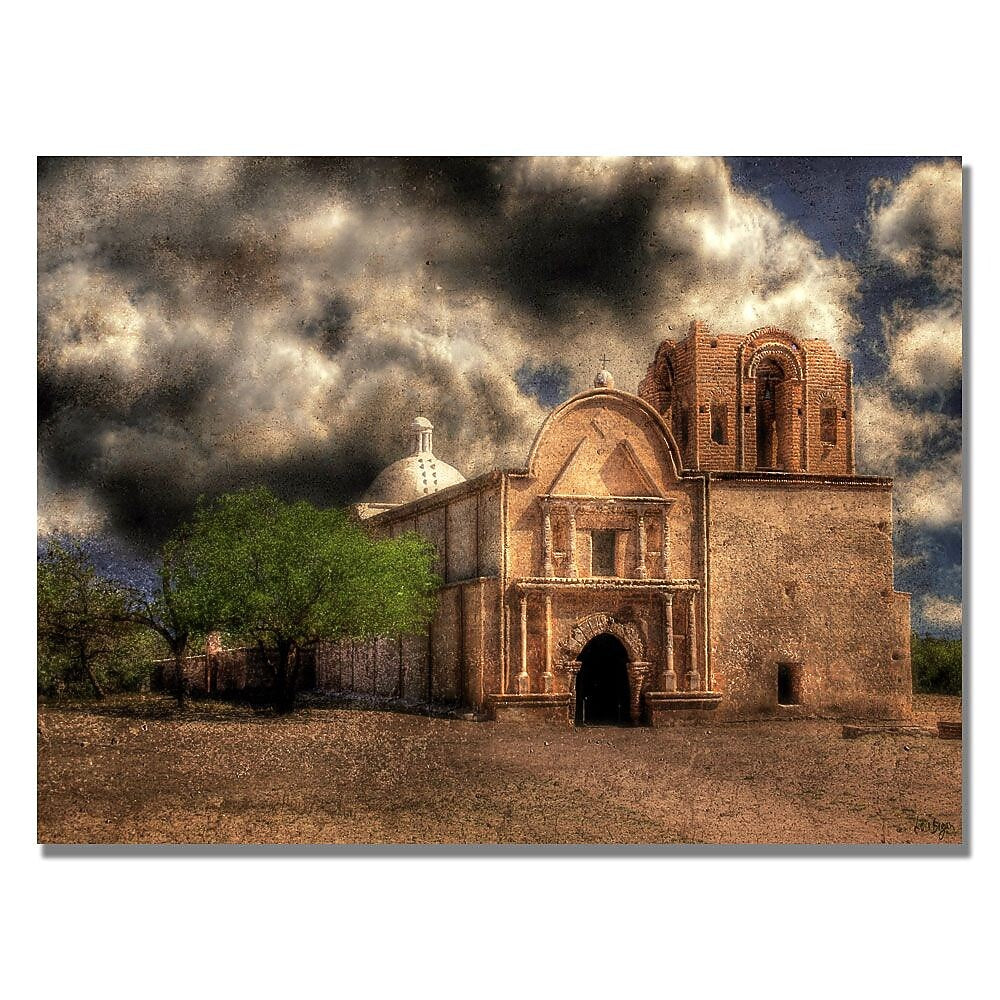 Trademark Fine Art Lois Bryan 'Cathedral' Canvas Art 22x32 Inches