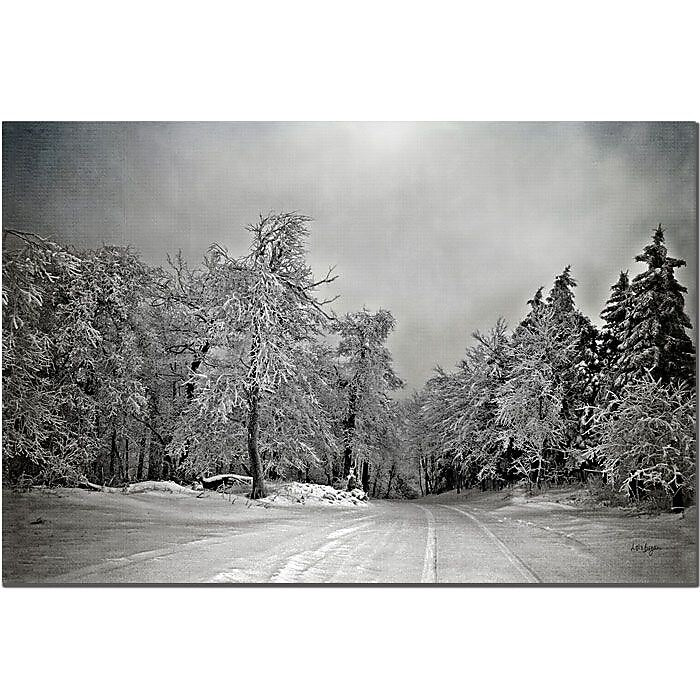 Trademark Fine Art Break in the Storm by Lois Bryan Canvas Art 16x24 Inches