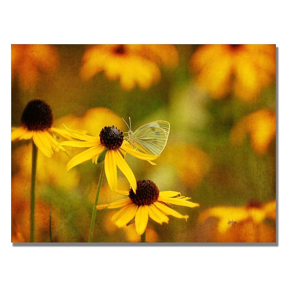 Trademark Fine Art Lois Bryan 'Butterfly on a Flower' Canvas Art 18x24 Inches