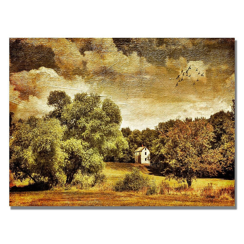 Trademark Fine Art Lois Bryan 'Old Farm House' Canvas Art 30x47 Inches