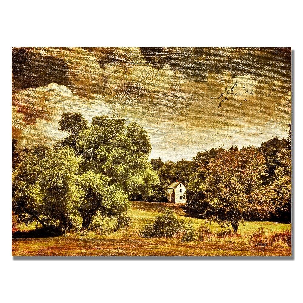 Trademark Fine Art Lois Bryan 'Old Farm House' Canvas Art 22x32 Inches