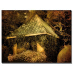 Trademark Fine Art Lois Bryan 'Forgotten Shed' Canvas Art 18x24 Inches