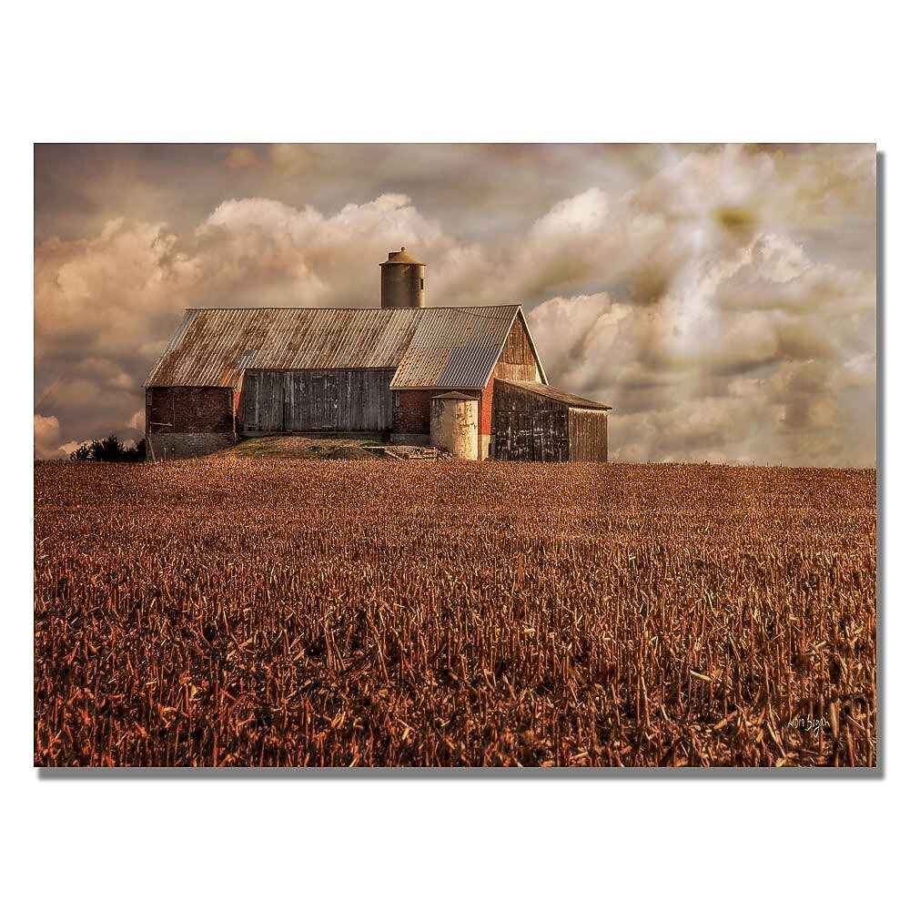 Trademark Fine Art Lois Bryan 'Light for the Farm' Canvas Art 30x47 Inches