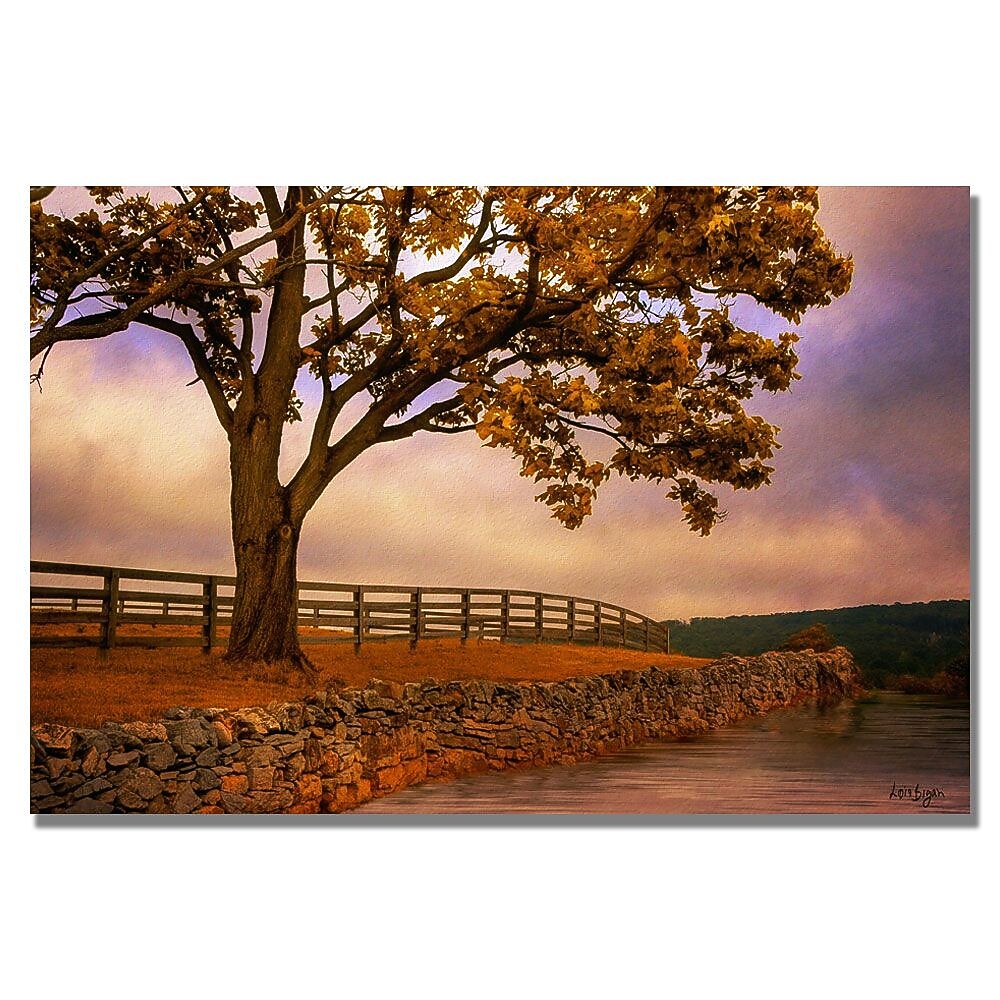 Trademark Fine Art Lois Bryan 'Leading Line' Canvas Art 22x32 Inches