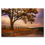 Trademark Fine Art Lois Bryan 'Leading Line' Canvas Art 22x32 Inches