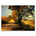 Trademark Fine Art Lois Bryan 'Follow Your Road' Canvas Art 18x24 Inches