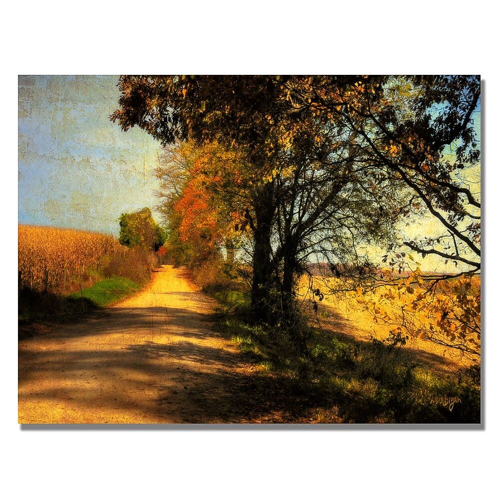 Trademark Fine Art Lois Bryan 'Follow Your Road' Canvas Art 22x32 Inches