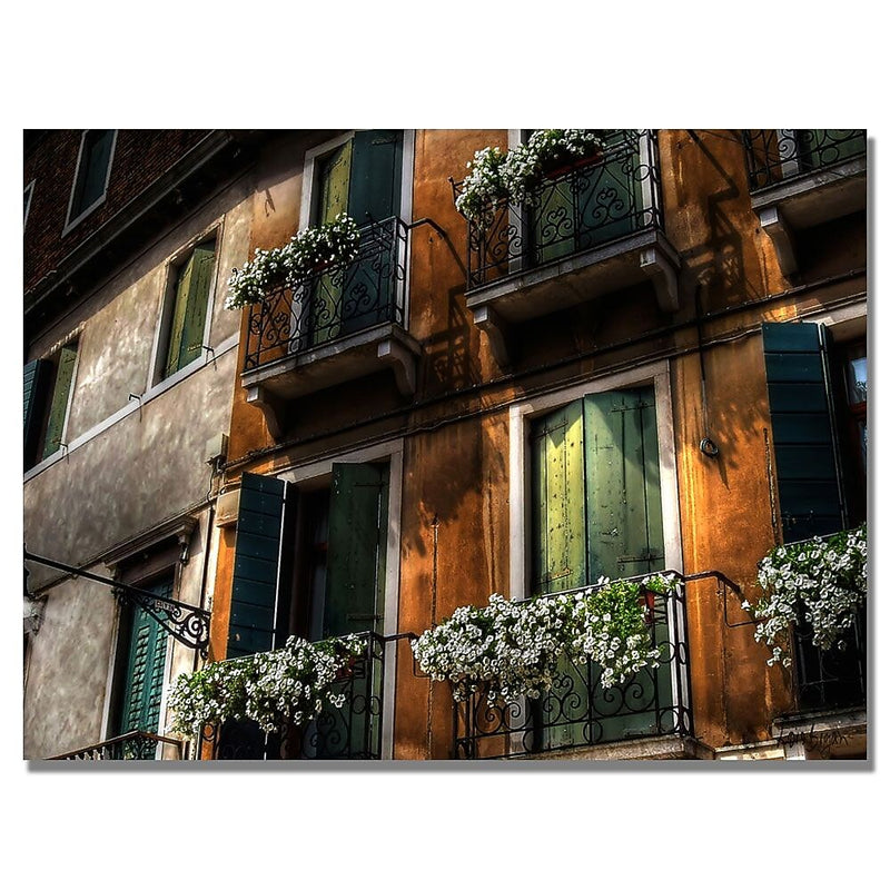 Trademark Fine Art Lois Bryan 'Balcony' Canvas Art 30x47 Inches