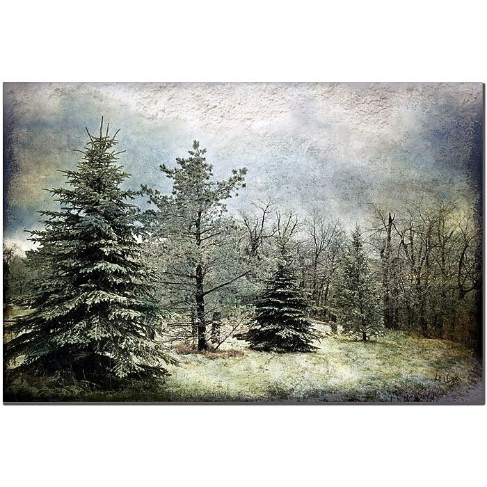 Trademark Fine Art Frosty by Lois Bryan Canvas Art Ready to Hang 16x24 Inches