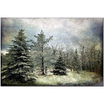 Trademark Fine Art Lois Bryan 'Frosty' Canvas Art Ready to Hang 18x24 Inches
