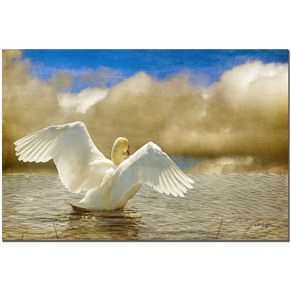 Trademark Fine Art Lois Bryan 'Lady-in-waiting' Art  Ready to Hang 22x32 Inches